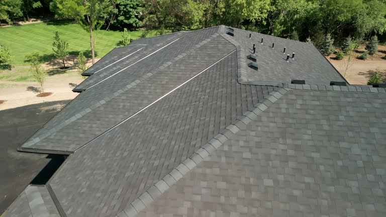Best Green or Eco-Friendly Roofing Solutions  in Roseville, MN