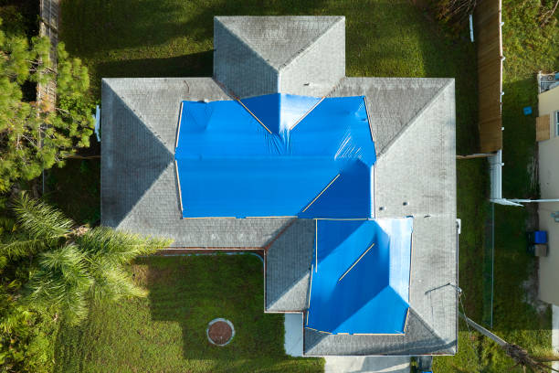 Best Asphalt Shingles Roofing  in Roseville, MN