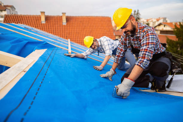 Best EPDM Roofing  in Roseville, MN