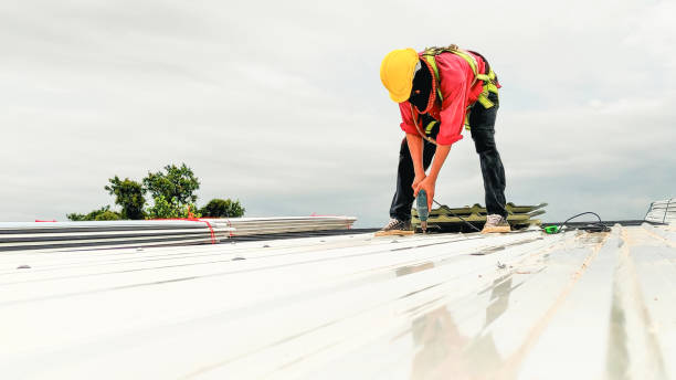 Best Skylight Installation and Repair  in Roseville, MN