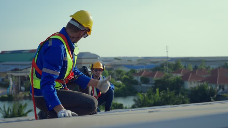 Best Sheet Metal Roofing  in Roseville, MN