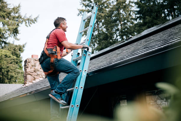 Best Roof Waterproofing  in Roseville, MN