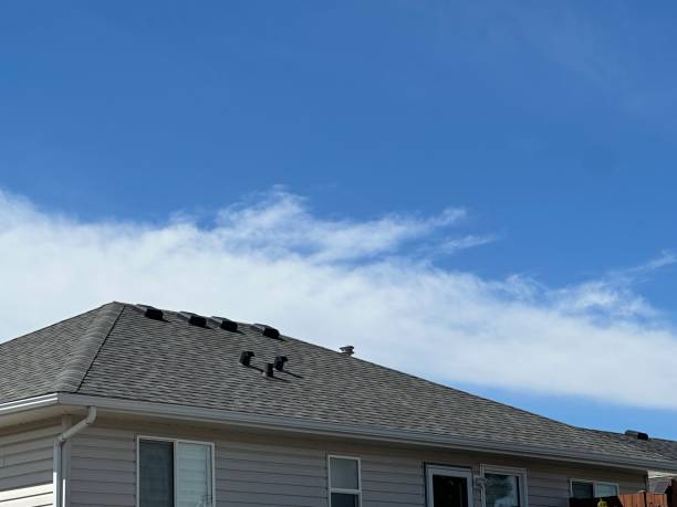 Best Gutter Installation and Repair  in Roseville, MN